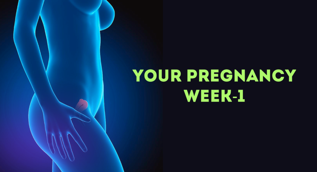 Pregnancy Week 1