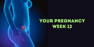 Pregnancy Week 12