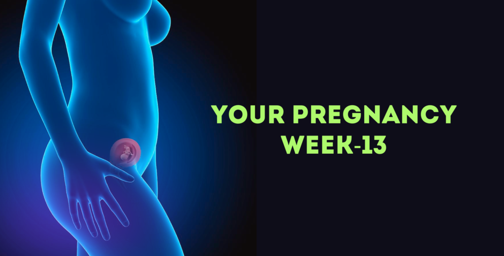 Pregnancy Week 13
