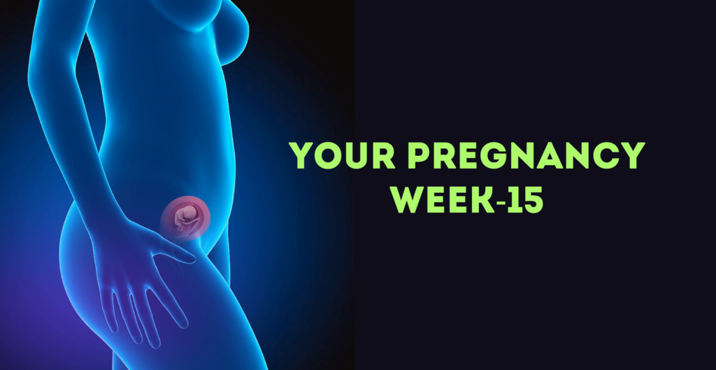 Pregnancy Week 15