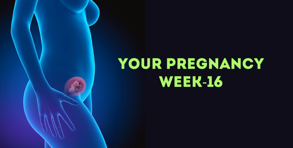 Pregnancy Week 16