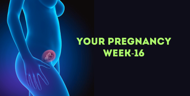 Pregnancy Week 16