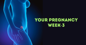 Pregnancy Week 3