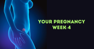Pregnancy week 4