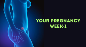 Pregnancy Week 1