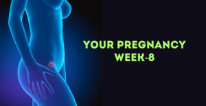 Pregnancy Week 8