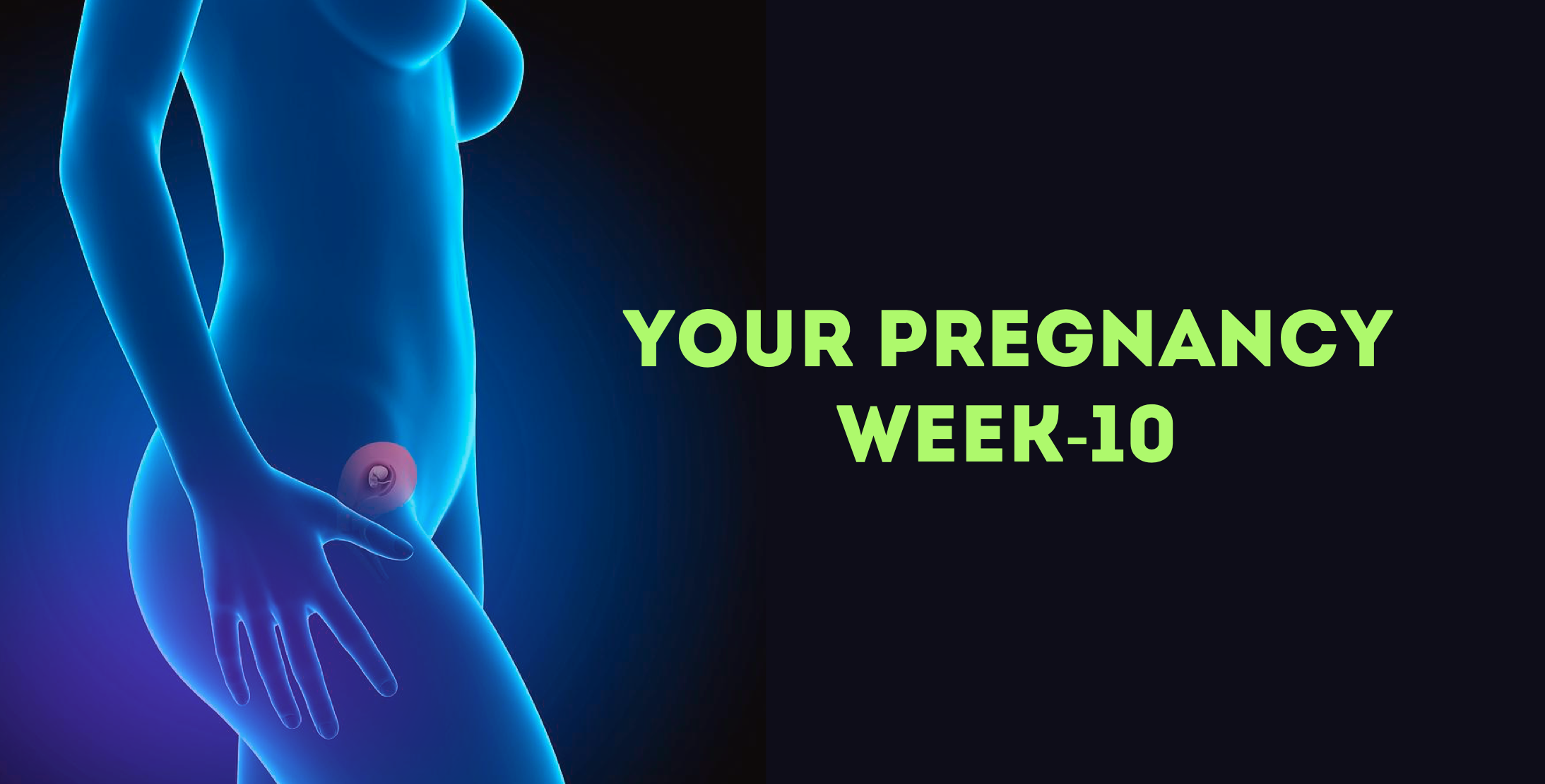 Pregnancy Week 10: Symptoms, Baby Development, and What to Expect