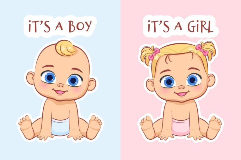 When Can You Find Out Your Baby's Gender During Pregnancy?