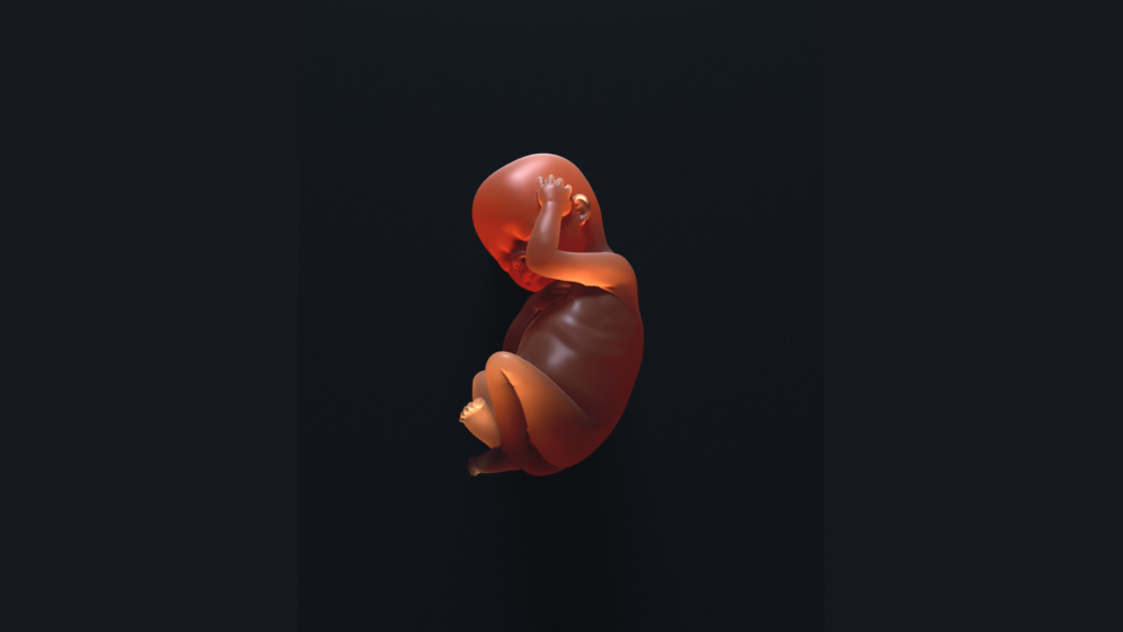 Why Do Babies Get Hiccups in the Womb?